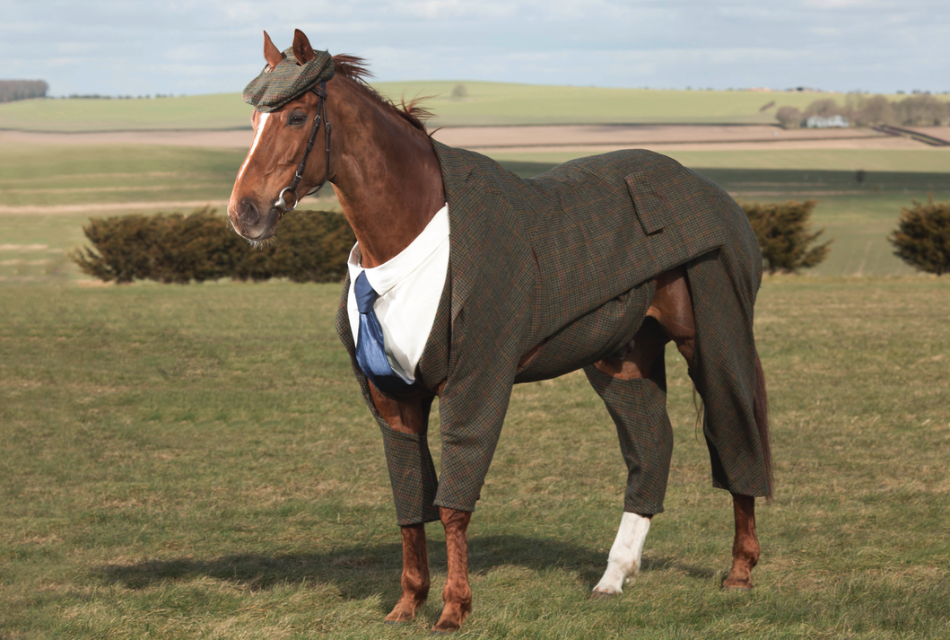 The 21 Best Dressed Horses in History